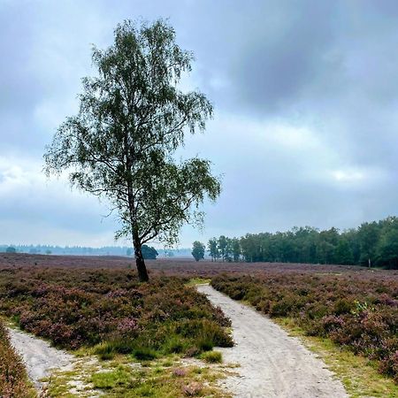 Huisje Aan De Bosrand - Veluwe Epe Eksteriør billede